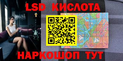 прущие крисы Кингисепп