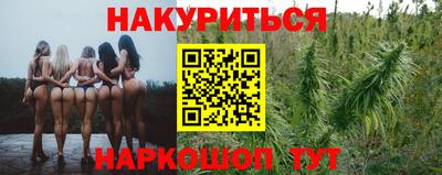прущие крисы Кингисепп