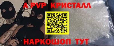 прущие крисы Кингисепп