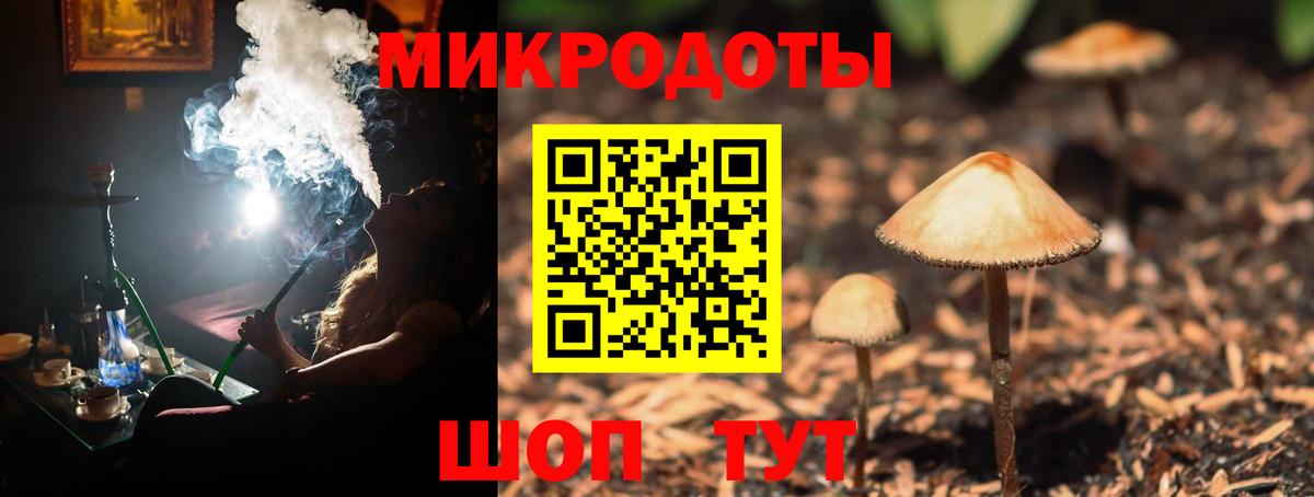 Псилоцибиновые грибы Magic Shrooms Камышлов